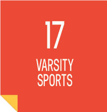 17 varisty sports